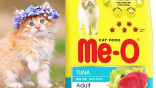 MeO Cat food 2019 hindiUrdu [upl. by Jillian]