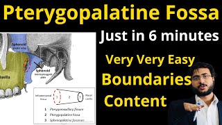 Pterygopalatine fossa  boundaries  content  communications pterygopalatinefossa pterygopalatine [upl. by Ddarb]