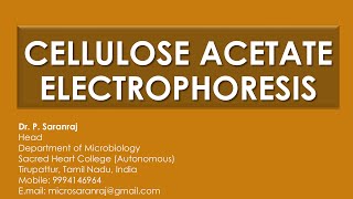 Cellulose Acetate Electrophoresis [upl. by Nnylhsa]