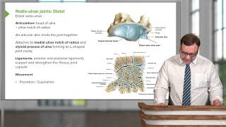 Radio ulnar Joints – Joints of Upper Limb [upl. by Yetta518]