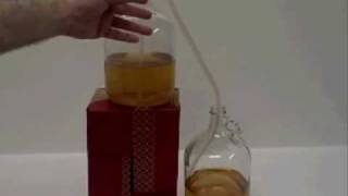 How to Rack One Gallon Of Mead Honey Wine [upl. by Held]