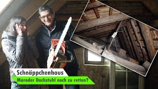 Maroden Dachstuhl retten  Dachsanierung  Dachboden ausbauen 🏡 Bauvlog 7 [upl. by Niamart]