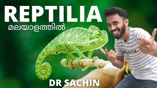 class reptilia  malayalam  animal kingdom  plus one  class 11  knowledge vlogger  reptiles [upl. by Eihtak745]