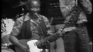 Muddy Waters  Shes Nineteen Years Old  ChicagoFest 1981 [upl. by Hoisch]