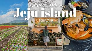 3 day Trip to Jeju Island Without a Car Flower fields aesthetic cafes what I ate Korea VLOG [upl. by Akeirahs]