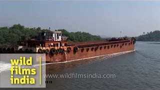 Iron ore barge over the Mandovi river in Goa [upl. by Irodim]