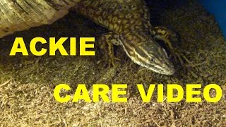 ACKIE MONITOR CARE VIDEO [upl. by Sula]