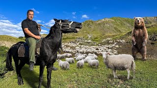 One Incredible Day Of An Azerbaijani Shepherd In The Mountains Find Out This Wonderful Feeling [upl. by Wenonah]