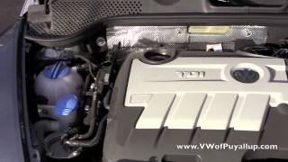 2014 Volkswagen Beetle TDI Review [upl. by Iddet]