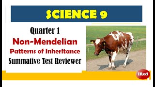 Science 9 First Periodical Test Reviewer NonMendelian Patterns of Inheritance [upl. by Vail]