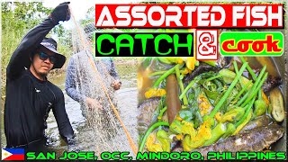 EP39  Assorted Fish Catch and Cook Pamamanti sa Ilog [upl. by Vinn]