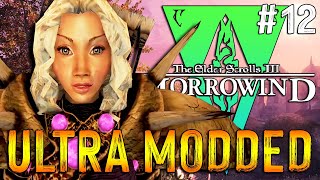 Lets Play Modded Morrowind  The Adventures Of Qa Dojetta  12 [upl. by Ettenwahs]