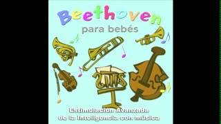 beethoven para bebes 5  relajacion y estimulacion de la inteligencia  embarazo  prenatal [upl. by Ennasor]