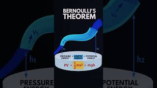 Bernoulli theorem explanationshortsphysics shorts [upl. by Coady]