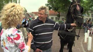 Paardenmarkt Rijnsburg 2013 [upl. by Hourigan928]