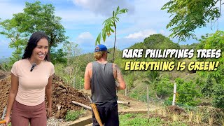 Rainy Season Has Begun PLANTITO TIME  Off Grid Farming For the Future [upl. by Bedad]