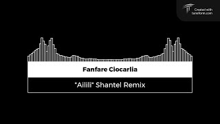 Fanfare Ciocarlia quotAililiquot Shantel Remix Bass Boosted 🎧 [upl. by Yro590]