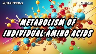 Chapter  3  Metabolism Of Individual Amino Acids Part3  Hindi [upl. by Ahsennod]