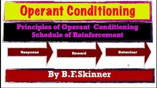 Operant Conditioning  Schedule of Reinforcement  BF Skinner [upl. by Alahs]