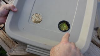 How to Build a Kratky Hydroponic Container [upl. by Arty]