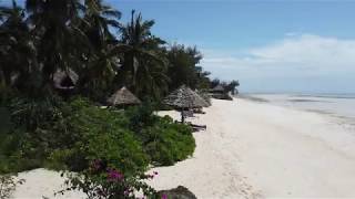 pongwe zanzibar [upl. by Boot]