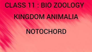 Notochord  Kingdom Animalia  Class 11  Bio zoology  Tamil [upl. by Jolene685]