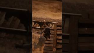 This is how you mount your horse rdr2 [upl. by Sert895]