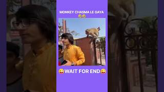 Monkey Chasma le Gaya 🤣🤣 Sourav joshi vlogs [upl. by Cand]