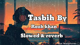 song Rooh Khan slowed amp reverb tasbih song🎵 [upl. by Eadwine884]