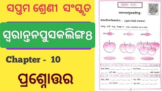 Class 7 Sanskrit Chapter 10 Question Answer l Swarant Npusakalinga Question Answer l [upl. by Airdni]