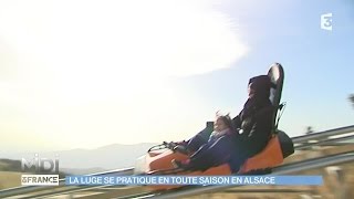 VU DICI  La luge se pratique en toute saison en Alsace [upl. by Bencion732]