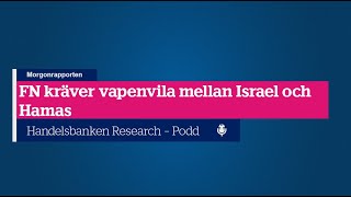 FN kräver vapenvila mellan Israel och Hamas [upl. by Eseekram]