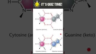 Tautomeric shifts in DNA [upl. by Irrep]