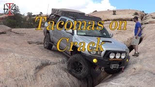 Tacomas on Crack [upl. by Livingston65]