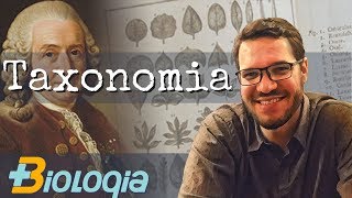 Taxonomia e Sistemática filogenética  Classificação biológica em Mais Biologia com Roger Maia [upl. by Sarah]