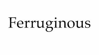 How to Pronounce Ferruginous [upl. by Olocin]