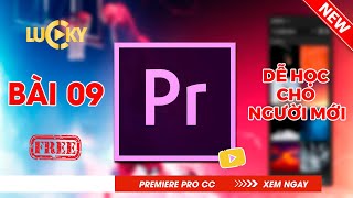 Bài 9 Cách chỉnh âm thanh audio và lọc tạp âm tiếng ồn khử noise trong Adobe premiere [upl. by Ary809]