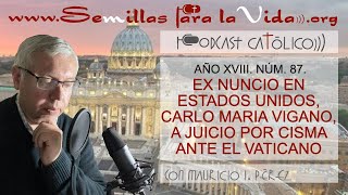 Ex Nuncio en Estados Unidos Carlo Maria Viganò a Juicio por Cisma ante el Vaticano [upl. by Benedict]