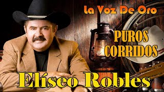 Eliseo Robles Y Los Barbaros Del Norte  La Voz De Oro  Puros Corridos Viejitos [upl. by Nashner381]