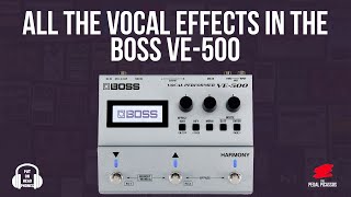 ALL THE VOCAL EFFECTS IN THE BOSS VE500 [upl. by Aniuqahs701]