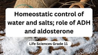 Homeostatic control of water and salts role of ADH and aldosterone [upl. by Noxas]