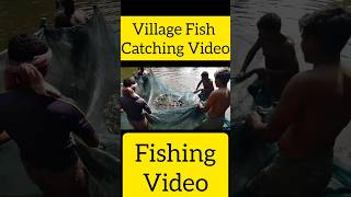 Village Fish Catching🐠🐋🐟 video village villagelife villageculture fish fishingvideo [upl. by Darryn]