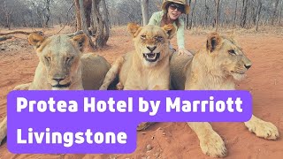 Protea Hotel by Marriott Livingstone  Zambia  Marriott Bonvoy  Hotel Review [upl. by Welcy]