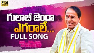 Gulabi Jenda Egarali Full Song  BRS New Song  Gulabi Jenda Egarale Song  CM KCR  Wall Post [upl. by Kcirdlek]