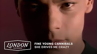 Fine Young Cannibals  She Drives Me Crazy Official Video [upl. by Hilliary681]