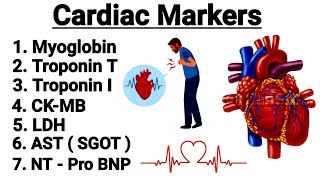 Cardiac Markers  Myoglobin  Troponin  CKMB  NT pro BNP  LDH  AST  in detail [upl. by Creighton396]