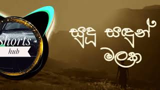 සුදු සදුන් මලක  sudu sadun malaka  slowed remix song remix song slowed oldsong viralvideo [upl. by Ney]