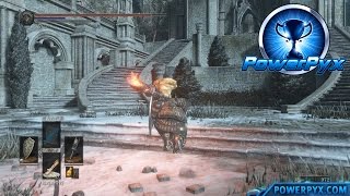 Dark Souls 3  Covenant Aldritch Faithful Location [upl. by Suiradal]