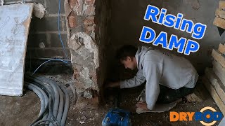 Tackling Rising Damp In Walls with Dryrod  the diy way 🏠 🔨 🧱 risingdamp dryrod vlog oldhouse [upl. by Ybbed]