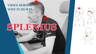 Effective Stretch For The Splenius Capitus Muscle  STOP Neck Pain Headaches Eye Pain [upl. by Beutler]